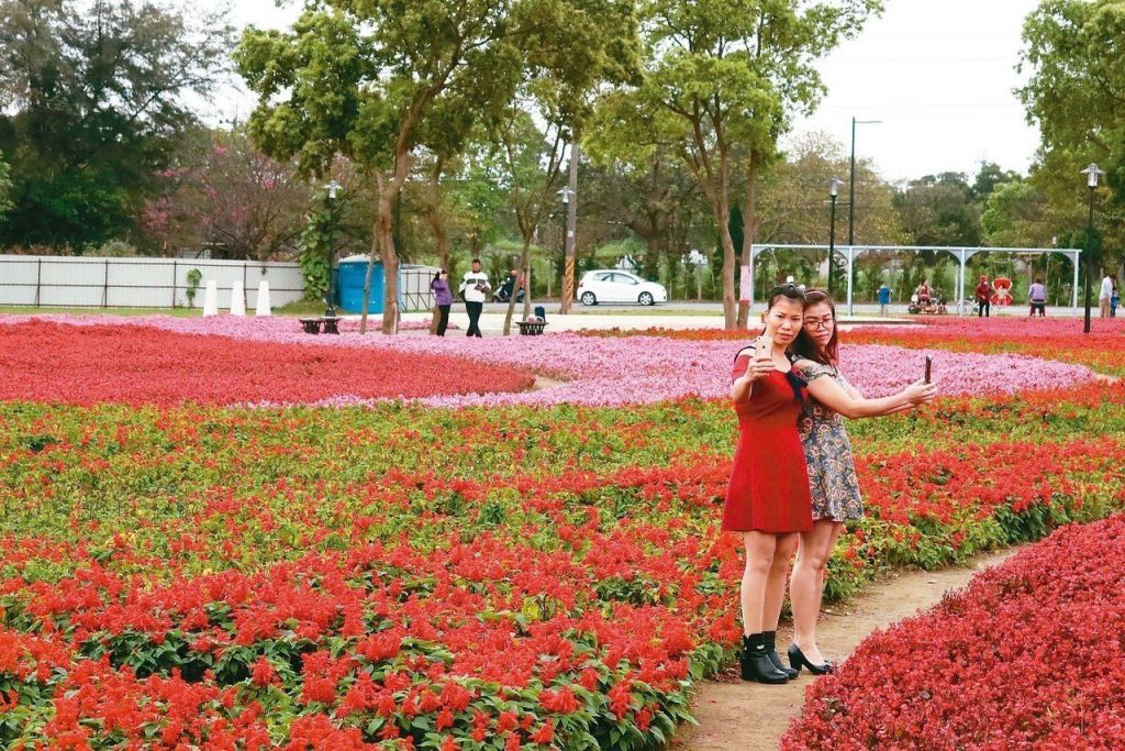 桃園市八德霄裡花海公園，前身是八德第一公墓，遷葬之後經過綠美化，搖身一變成為花海景點