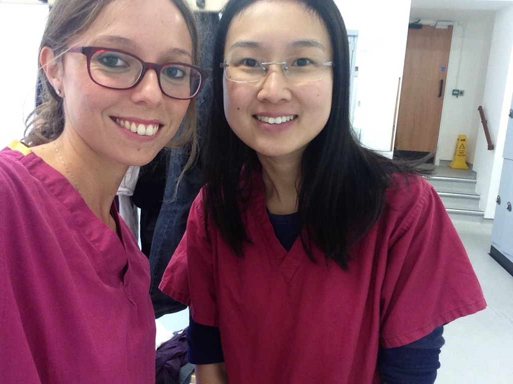 戴醫生曾到英國接受醫學訓練。