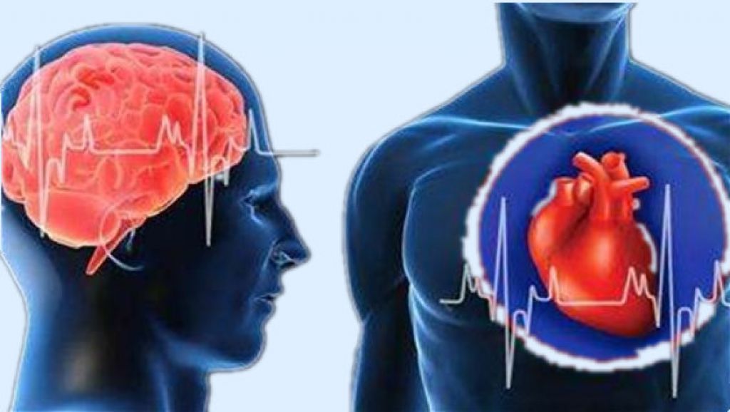 Cardiovascular and Cerebrovascular Disease Drug Workshop (Kornhill Centre/2021-06)