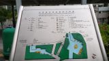 Picture-Braille and tactile map