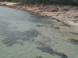 Picture-Rocky beach next to the pier